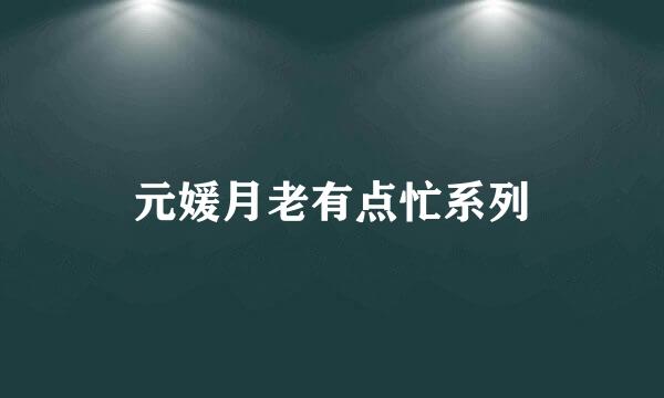 元媛月老有点忙系列