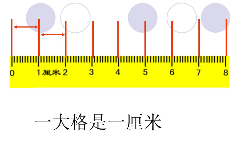 50cc是多少厘米