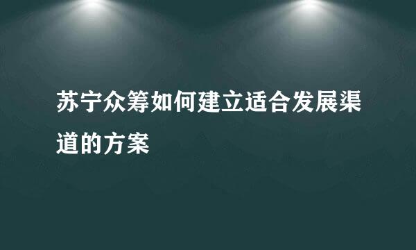 苏宁众筹如何建立适合发展渠道的方案