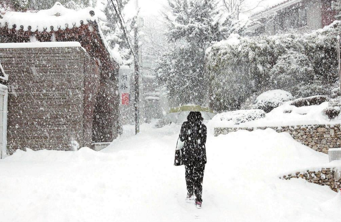 辽宁鞍山一农贸市场因强降雪坍塌，是否有造成人员伤亡？