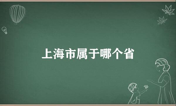 上海市属于哪个省