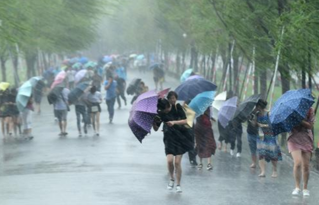 暴雨和大雨有什么区别?