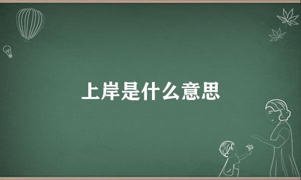 上岸是什么意思