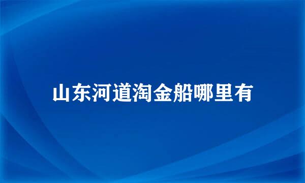 山东河道淘金船哪里有