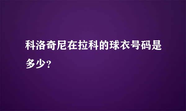 科洛奇尼在拉科的球衣号码是多少？