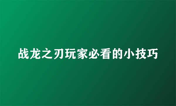 战龙之刃玩家必看的小技巧