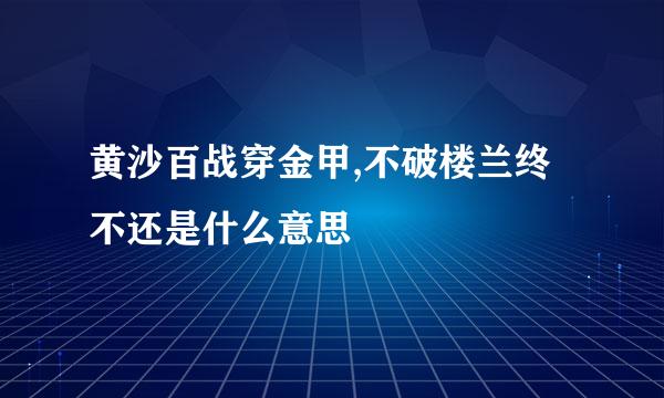 黄沙百战穿金甲,不破楼兰终不还是什么意思