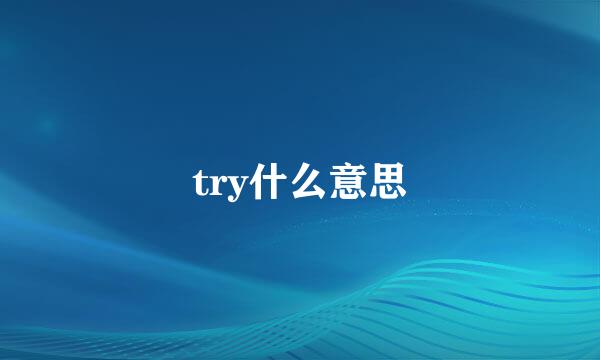 try什么意思