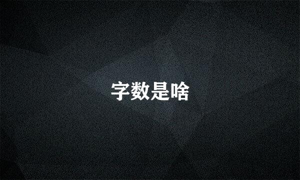 字数是啥