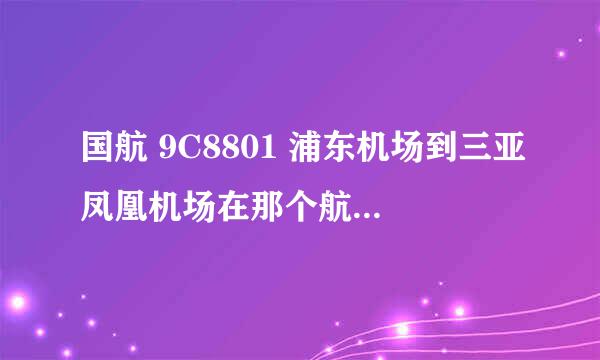 国航 9C8801 浦东机场到三亚凤凰机场在那个航站楼啊，，