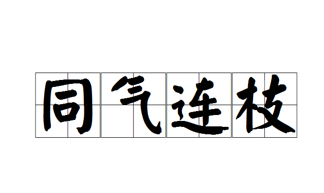 同气连枝一般用来比喻什么