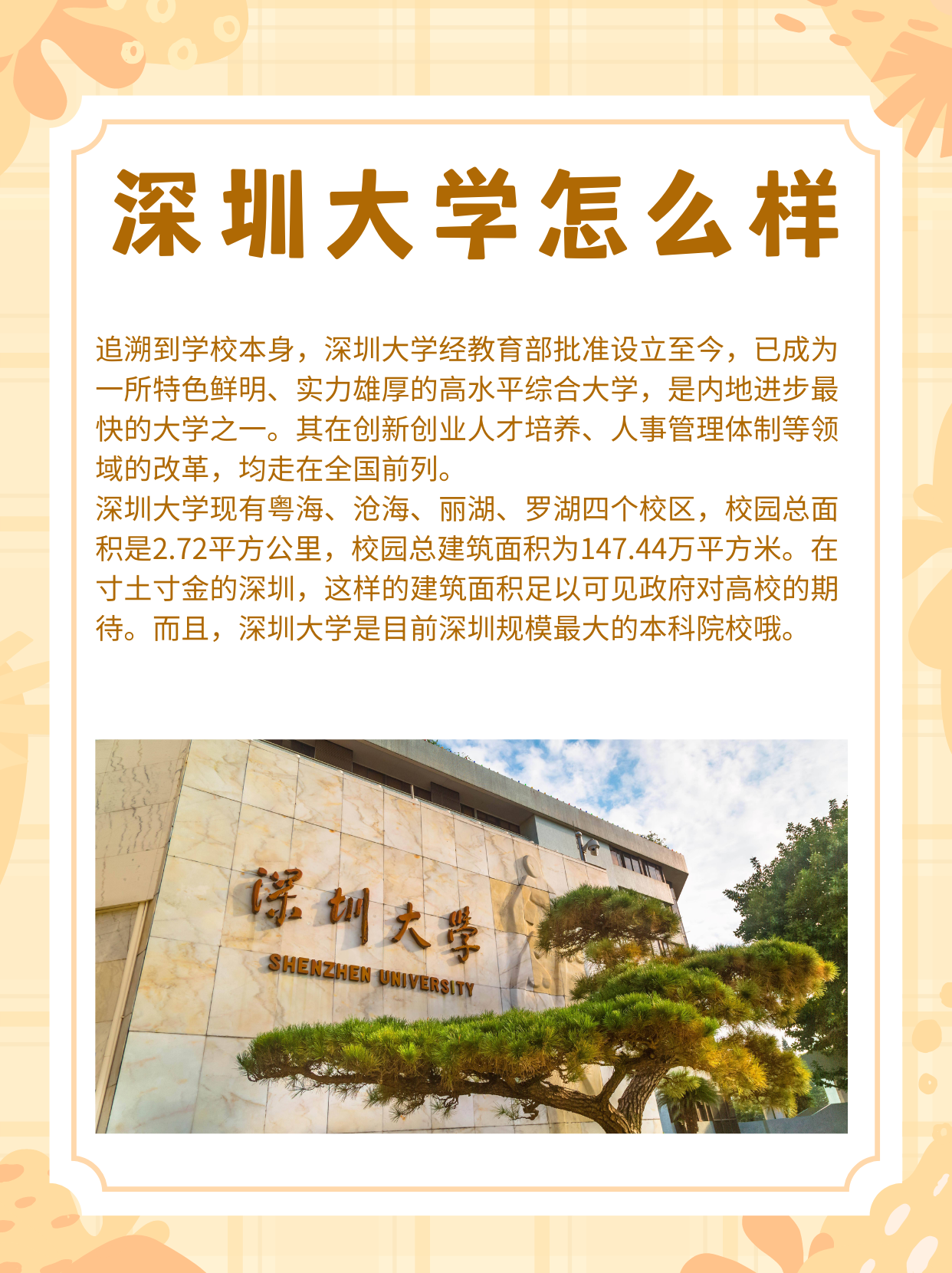 深圳大学怎么样