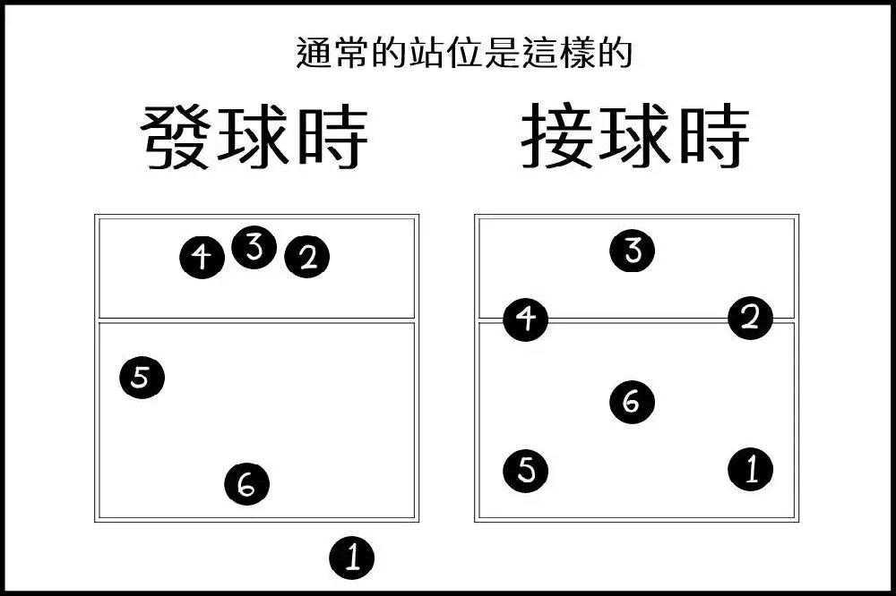 排球运动的主要规则是什么？