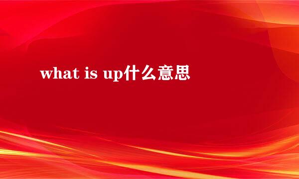 what is up什么意思