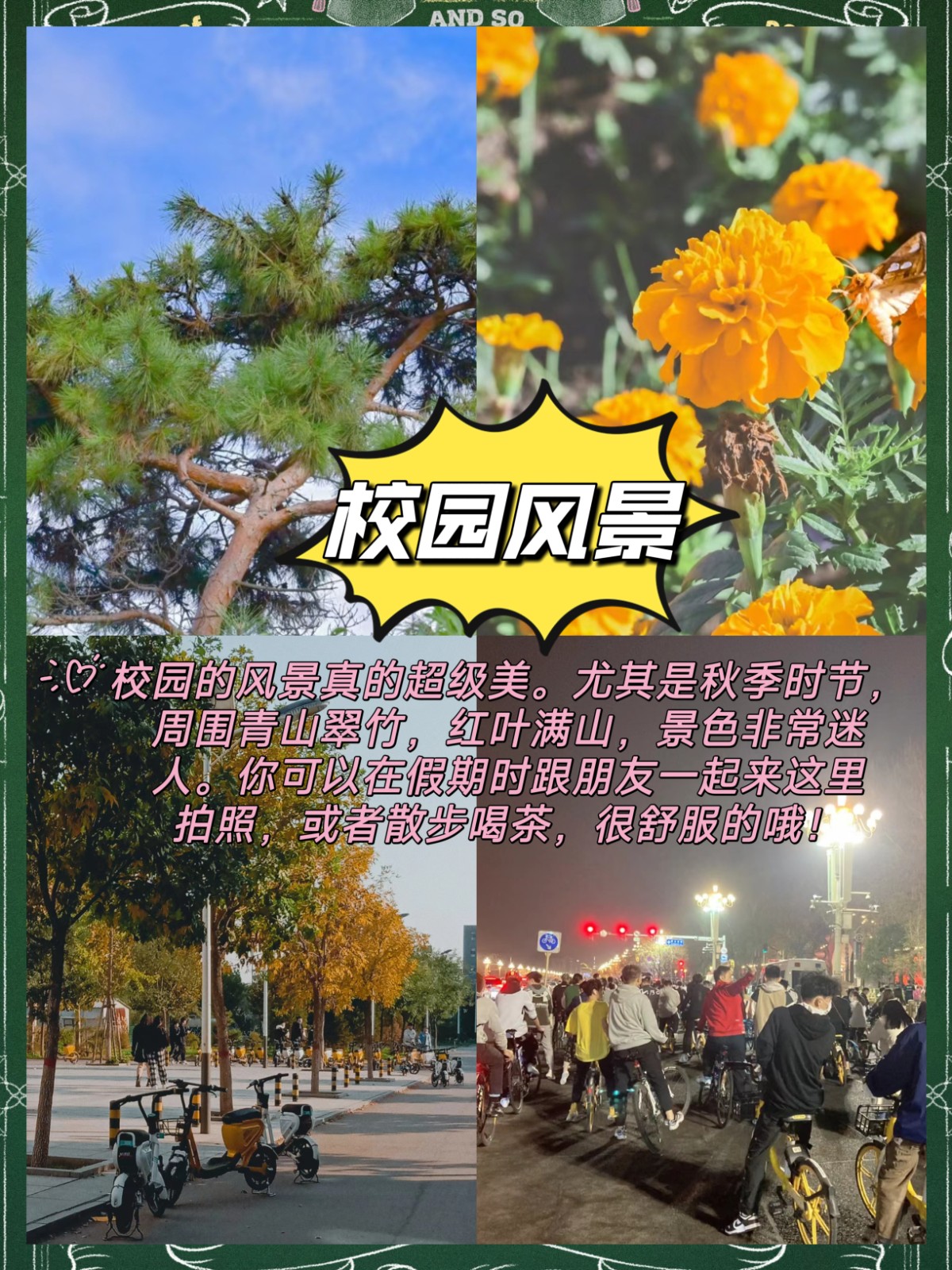 北华大学在哪个位置