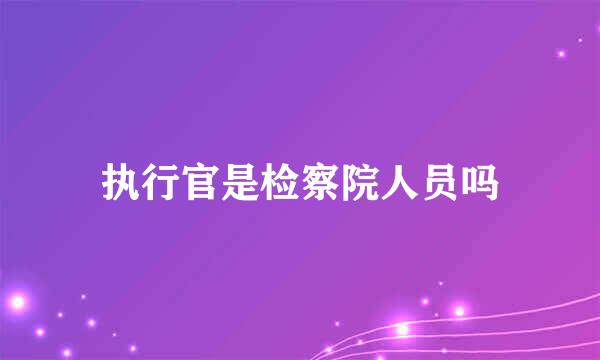 执行官是检察院人员吗