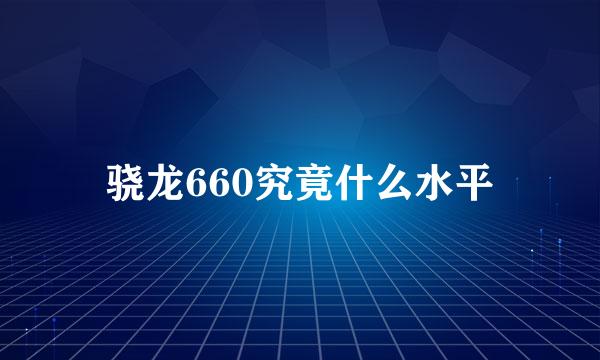 骁龙660究竟什么水平