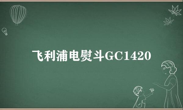 飞利浦电熨斗GC1420