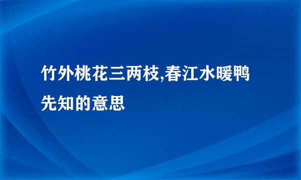 竹外桃花三两枝,春江水暖鸭先知的意思