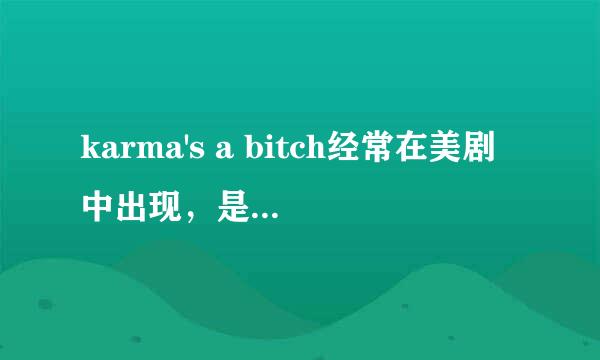 karma's a bitch经常在美剧中出现，是什么意思