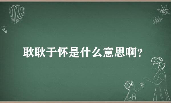 耿耿于怀是什么意思啊？