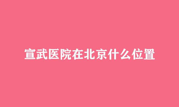 宣武医院在北京什么位置