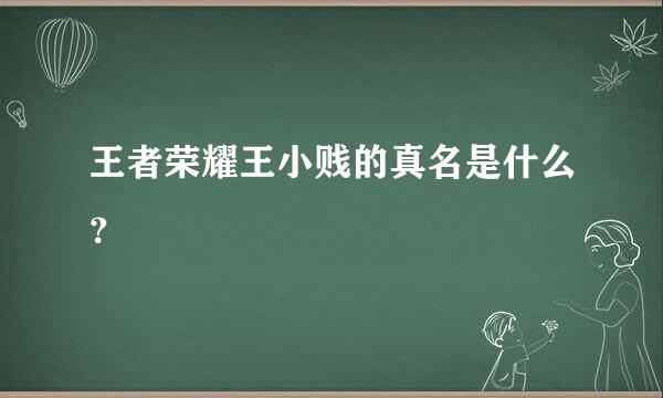 王者荣耀王小贱的真名是什么？