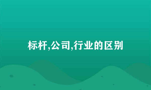 标杆,公司,行业的区别