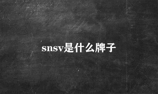 snsv是什么牌子