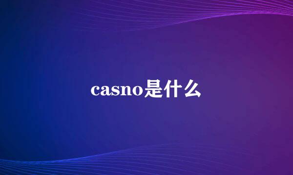 casno是什么