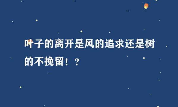 叶子的离开是风的追求还是树的不挽留！？