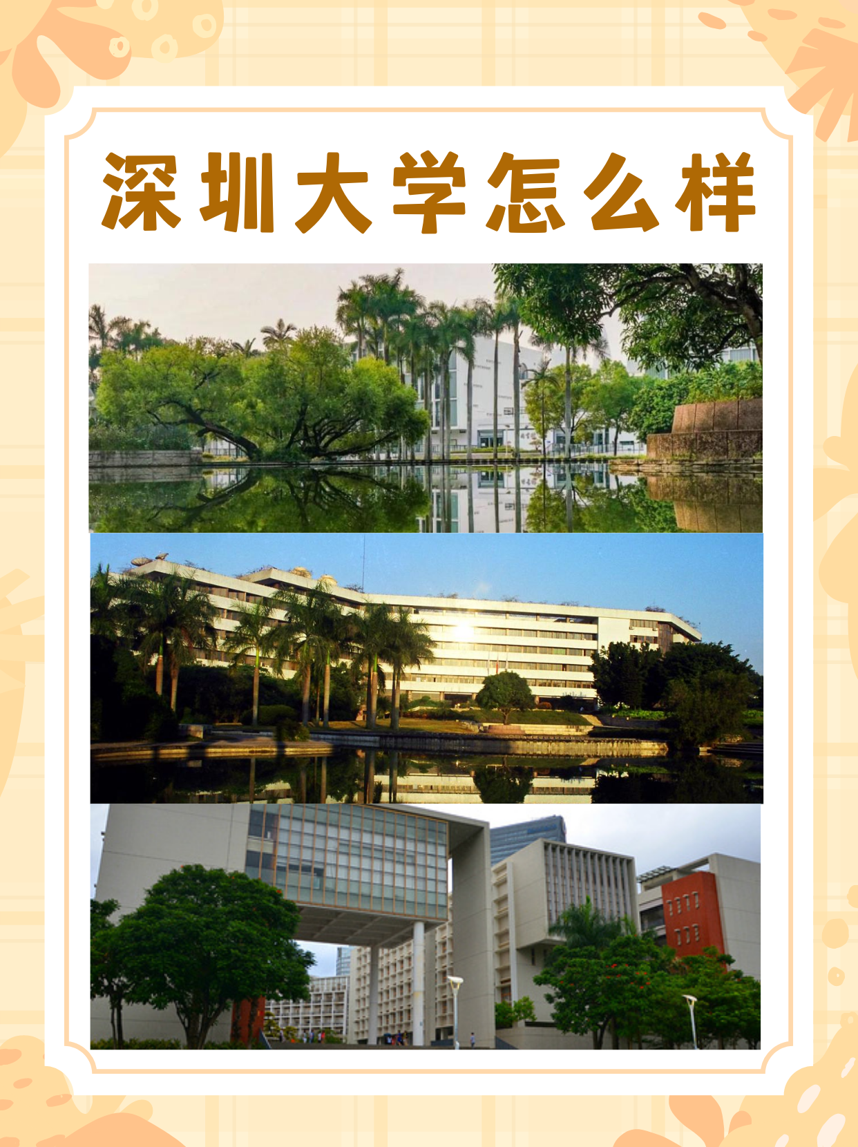 深圳大学怎么样