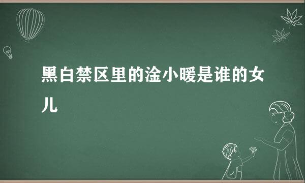 黑白禁区里的淦小暖是谁的女儿