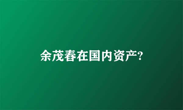 余茂舂在国内资产?