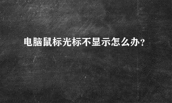 电脑鼠标光标不显示怎么办？