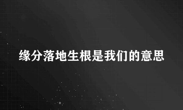 缘分落地生根是我们的意思