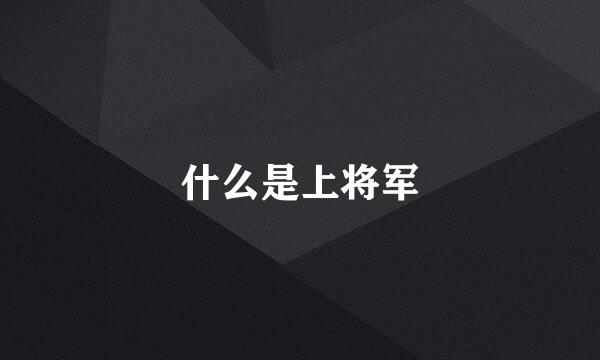 什么是上将军