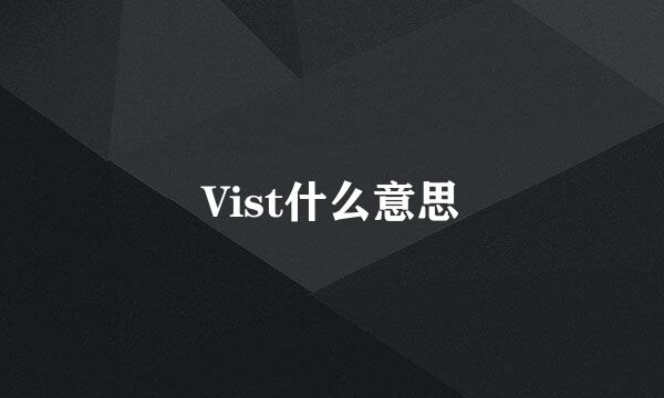 Vist什么意思