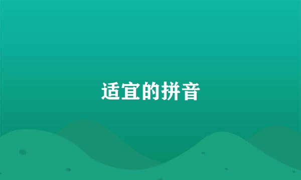 适宜的拼音