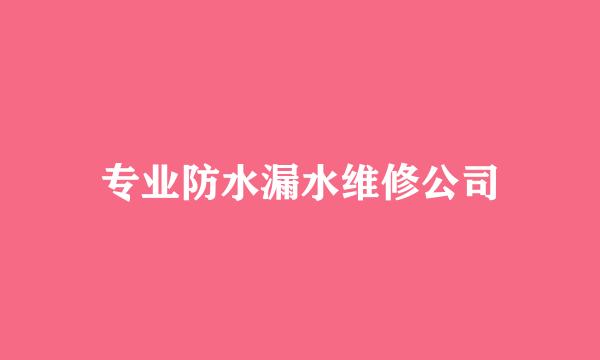 专业防水漏水维修公司