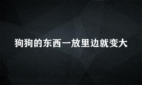 狗狗的东西一放里边就变大