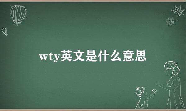 wty英文是什么意思