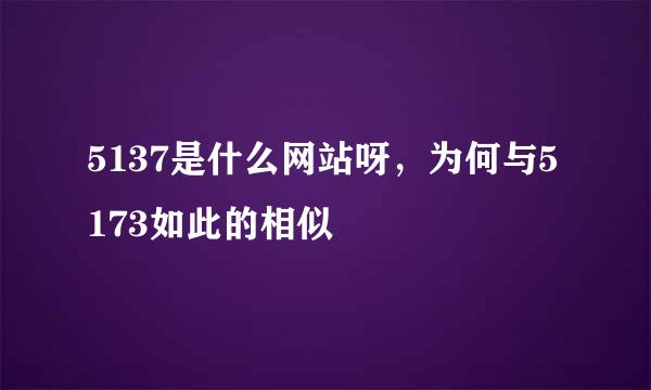 5137是什么网站呀，为何与5173如此的相似