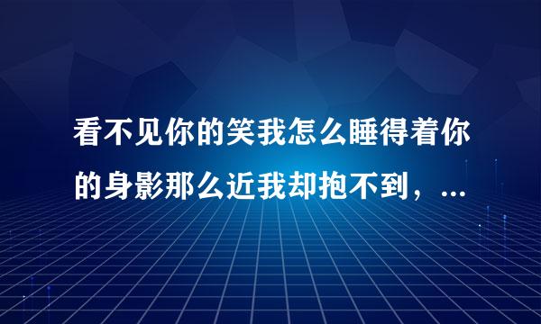 看不见你的笑我怎么睡得着你的身影那么近我却抱不到，这歌名是？