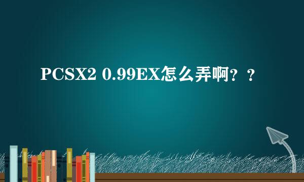 PCSX2 0.99EX怎么弄啊？？