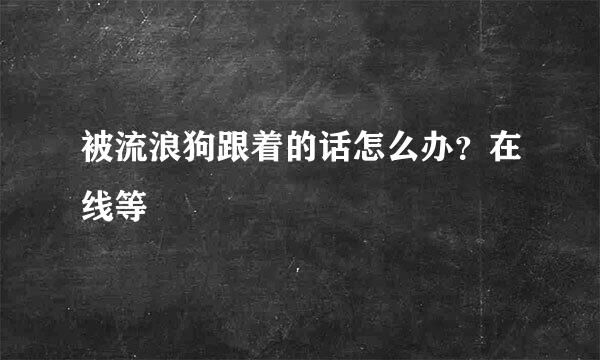 被流浪狗跟着的话怎么办？在线等