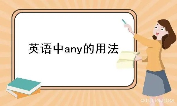 any是什么意思