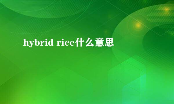 hybrid rice什么意思