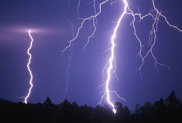 印度18头野象被闪电击中死亡，雷雨天如何躲避闪电？