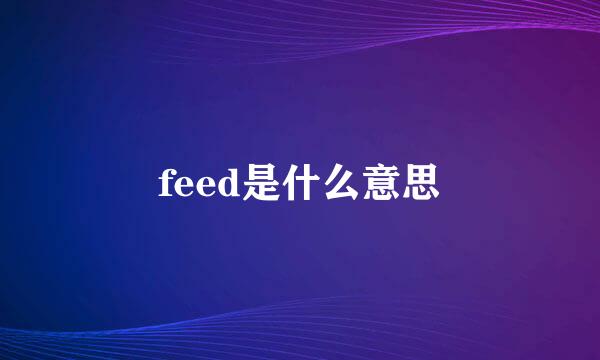 feed是什么意思